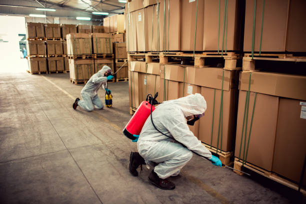 Best Wildlife Control Services  in Boiling Springs, SC