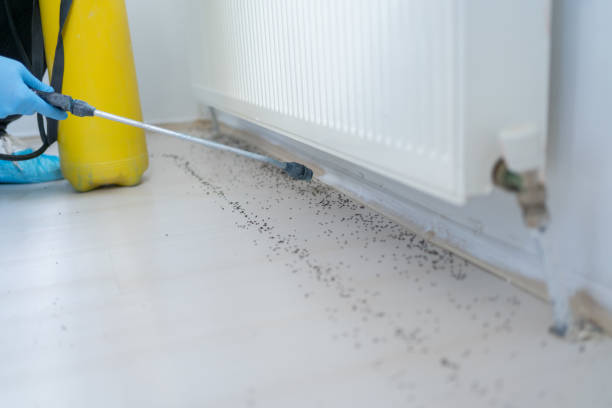 Best Wildlife Control Services  in Boiling Springs, SC