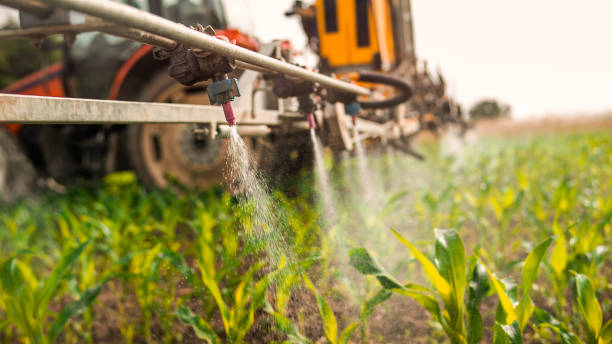Best Mosquito Control Services  in Boiling Springs, SC